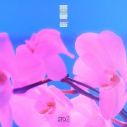 專輯圖片