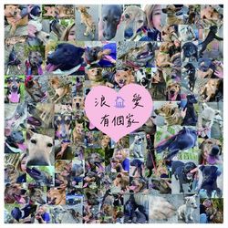 專輯圖片