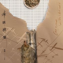 專輯圖片