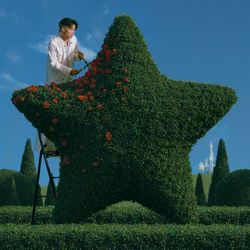專輯圖片