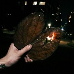 專輯圖片