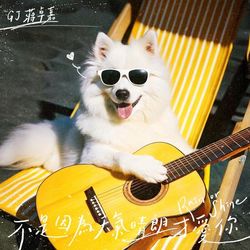 專輯圖片
